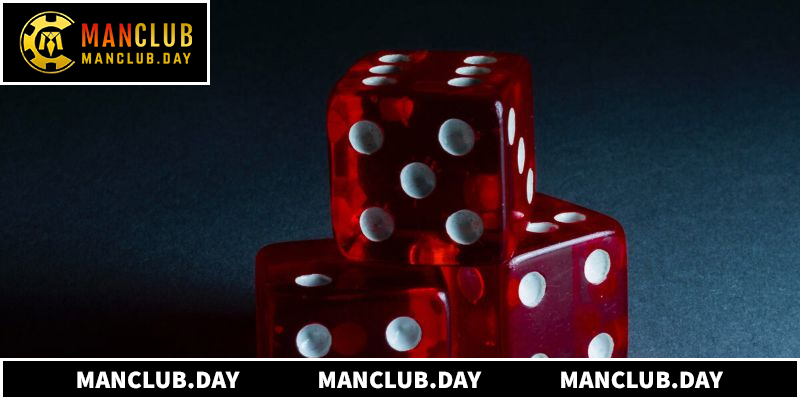 Các loại hình đặt cược phong phú đáp ứng mọi sở thích