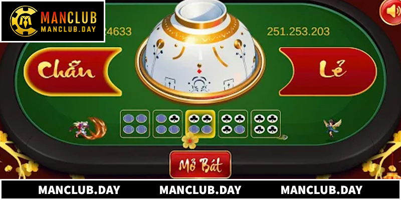 Mỗi ván cược diễn ra theo trình tự chặt chẽ