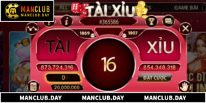 Tại Sao Nên Chọn Chơi Tài Xỉu Manclub Thay Vì Các Sảnh Khác?